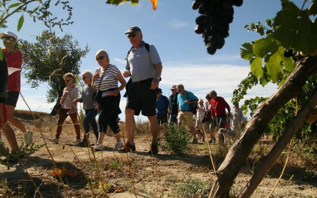 Walk for Life, Wine and Community