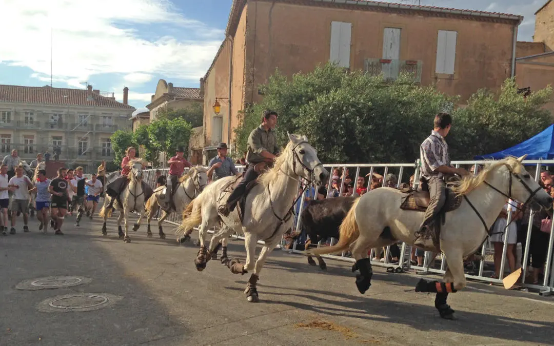 Spring holidays and events in the south of France