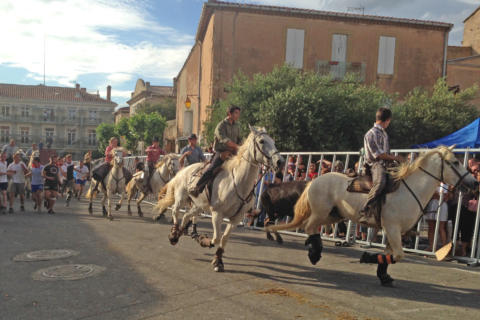 Abrivado in Quarante 2016