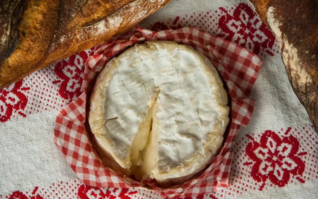 The Renestance Guide to French Cheese