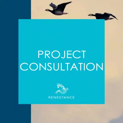 Project Consultation