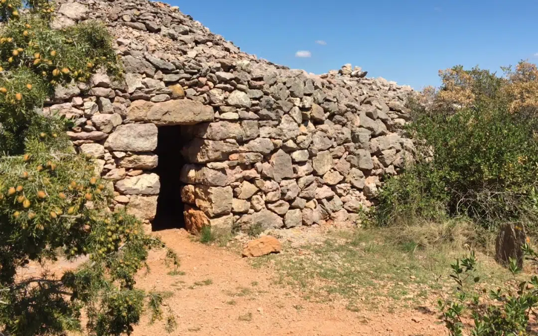 Discovering Capitelles in the South of France