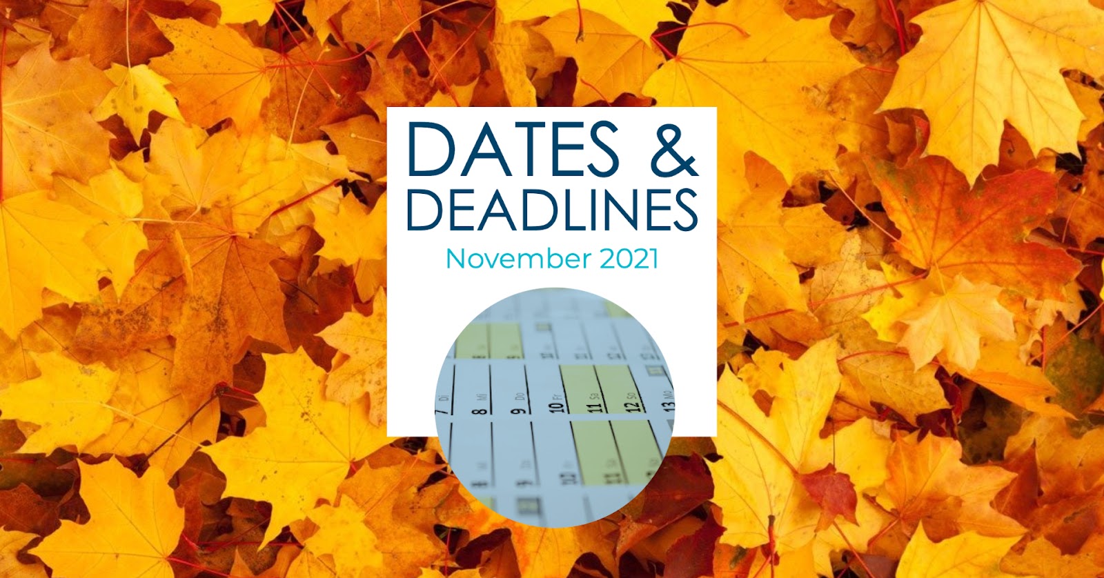Calendrier Taxe Fonciere 2023 Autumn Dates And Tax Deadlines In France - Renestance