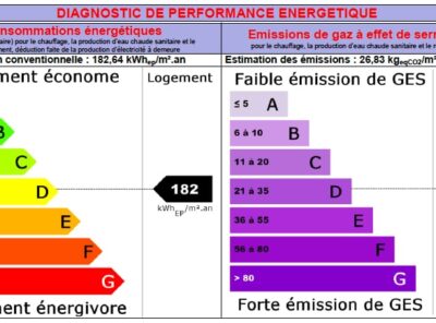 Renting or buying in France: «Diagnostique immobilier»